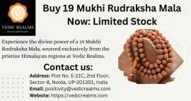 Buy 19 Mukhi Rudraksha Mala Now: Limited Stock, $ 0