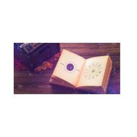 Indian Astrologer Near Me, Brampton