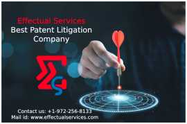 Patent support services- Effectual Services, New York