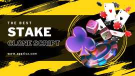 Stake clone script features, New York