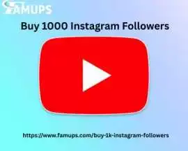 Buy 1000 Instagram Followers to Grow Your Instagra, New City