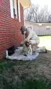Restorable Solutions Mold Remediation, Tullahoma