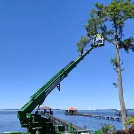 Tree Trimming Service Florida, Jacksonville