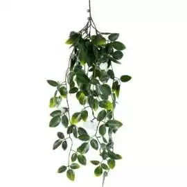 Install Fake Hanging Plants to Elevate Your Space , $ 0