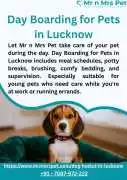 Day Boarding for Pets in , Lucknow