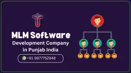 MLM Software Development Company in Punjab, Chandigarh
