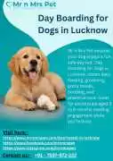 Day Boarding for Dogs in , Lucknow