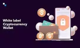 white label cryptocurrency wallet development , Palm Springs