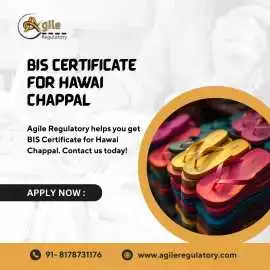 Complete BIS Certification for Hawai Chappal, Noida