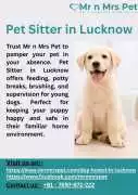 Pet Sitter in , Lucknow