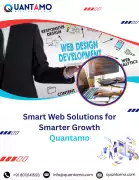 Smart Web Solutions for Smarter Growth – Quantamo, Dam Dam