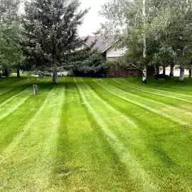 Local Lawn Care Services, Bozeman