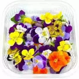 Premium Edible Flowers in Dubai | Fresh Focus Food, Dubai