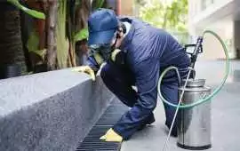  Comprehensive Pest Control in Regina, Regina