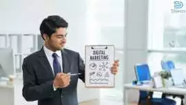 Best SEO Company in India | Sterco Digitex, Noida