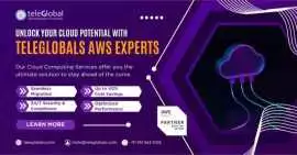 Expert AWS Cloud Solutions: Migrate, Secure, and O, Pune