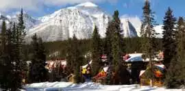 Experience Nature and Luxury with Lake Louise