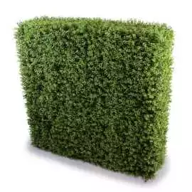 Install Artificial Plant Hedge to Enjoy Ever-Green, $ 0