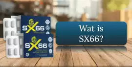 SX66 Reviews – Waarom gebruikers wereldwijd erop v, New York