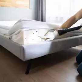 Need Affordable Bed Bug Treatment Northampton , Leicester