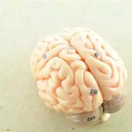 The Neurological Care Center of Montgomery, Montgomery