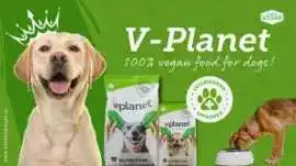 dog food in jvt, Dubai