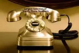 available phone number search, Los Angeles