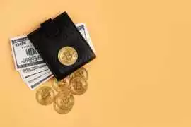 Build your web3 wallet with a Phantom wallet clone, Madurai