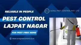 Reliable Pest Control Services in Lajpat Nagar, New Delhi