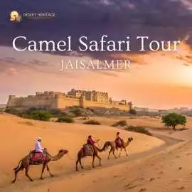 Camel Safari Tour Jaisalmer Experience