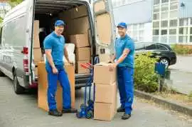 Professional Moving Company in Bellevue, Washingto, Bellevue