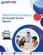 Digital Marketing Agency for Growth-Driven Results, Dam Dam