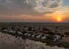 Desert Camp In Jaisalmer