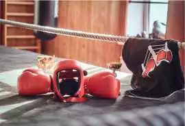 Find the Best Professional Boxing Body Protector i, $ 0