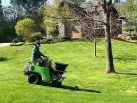 Professional lawn care near me , Memphis