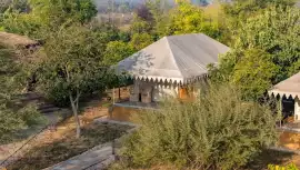 Sariska camp resort