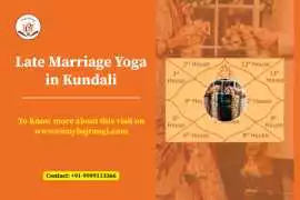 late marriage astrology, when will i get married, Noida