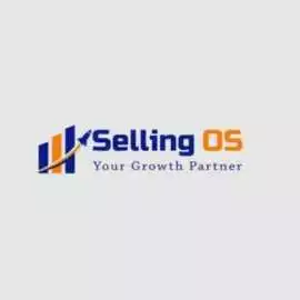 Selling OS: The Right Choice for Your Online Busin, Delhi