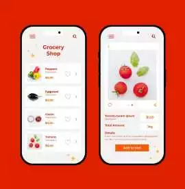Top eCommerce Mobile App Development Company, Ontario