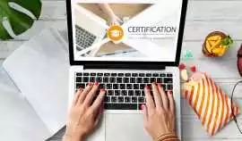 Playwright Automation with TypeScript Training , Noida