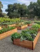 Raised Garden Beds in Berwick, Melbourne