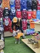 Dawg Team Apparel USA | Pet Supply Store, Memphis