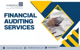 Financial Audit Services That Add Real Value, San Diego