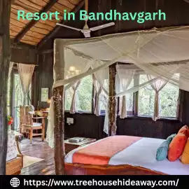 Luxury Tree House in Bandhavgarh – Stay Amidst Nat, Ujjain