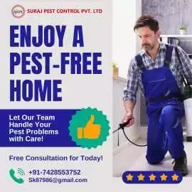 Safe Pest Control service in Mayur Vihar, New Delhi