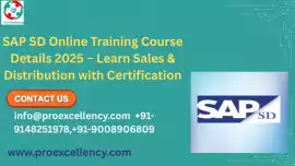 SAP SD Training with Certification: A Complete Car, Bengaluru
