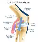 Consult with a Trusted Knee Surgeon in Melbourne, Sandringham