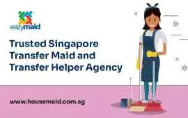 Trusted Singapore Transfer Maid and Helper, Bukit Timah