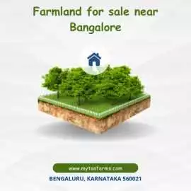 Invest in Farmland near Bangalore , Bengaluru