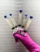 Isolated Spore Syringe Set of 5 — Clean Genetics , $ 0